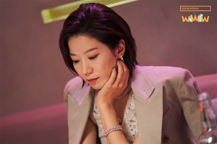 Jeon Hye Jin como Song Ga Kyung no k-drama Search: WWW do Viki