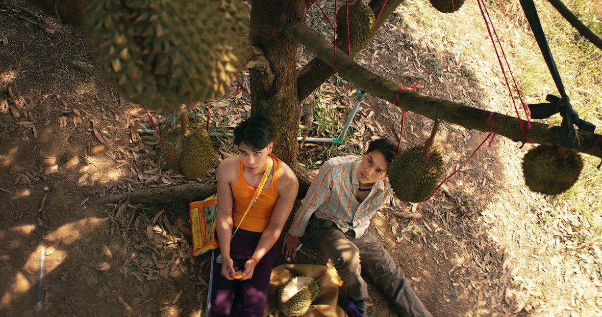 o paraiso dos espinhos, jeff satur keng harit
